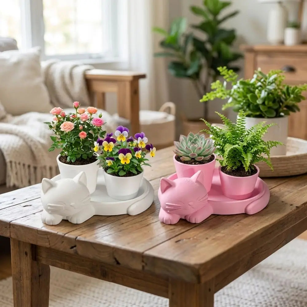 pots plantes support chatons couleur rose blanc moderne chambre