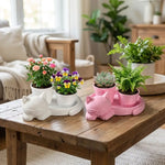pots plantes support chatons couleur rose blanc moderne chambre