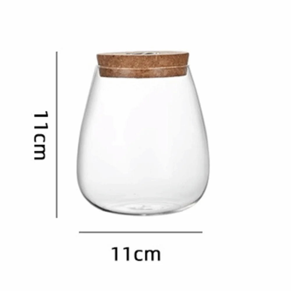 vase verre texturé moderne transparent couvercle liège décoration table hydroponie plantes