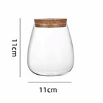 vase verre texturé moderne transparent couvercle liège décoration table hydroponie plantes
