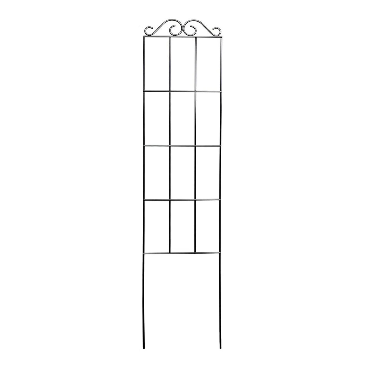 treillis plante grimpante support jardin métal noir blanc vert rouge bleu grille feuillage fleurs