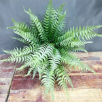 plantes artificielles fougère boston feuilles vertes jaunes decoration exterieure intérieure naturelle réaliste