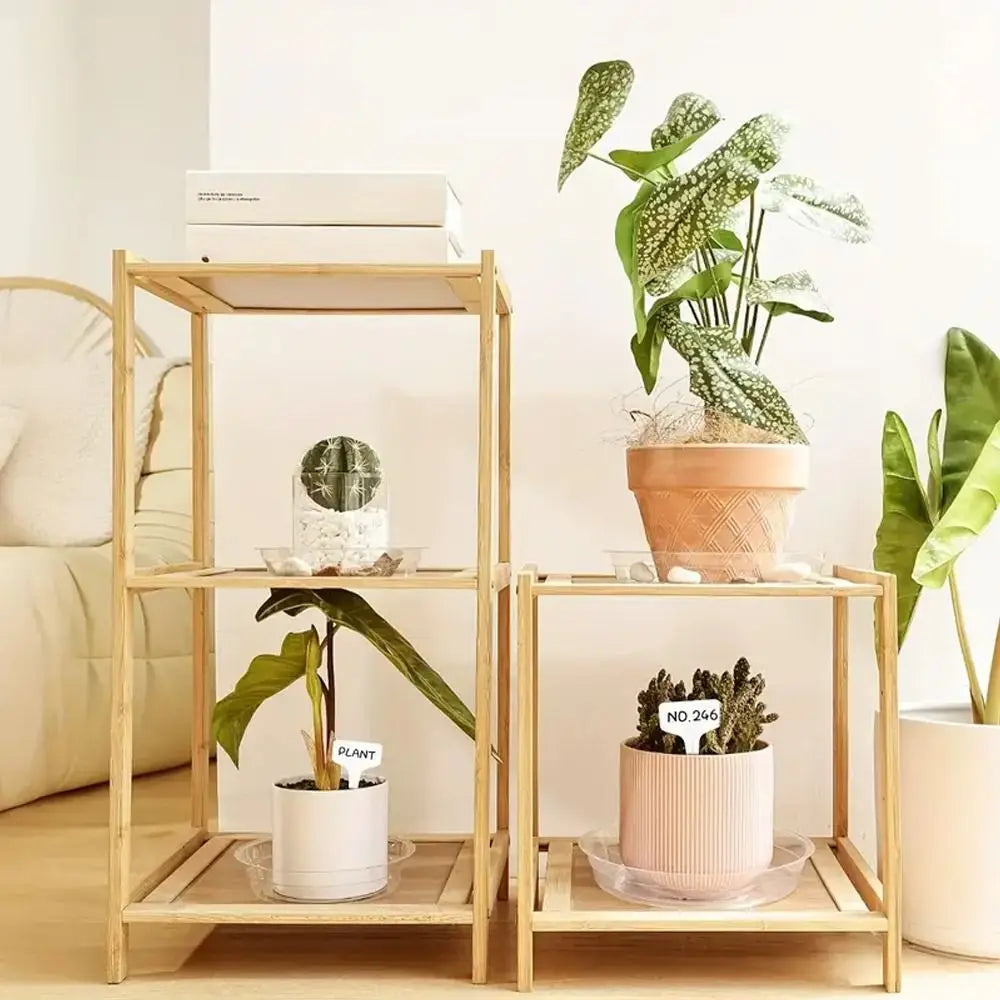 plateau plante transparent moderne 10 12 pouces adhésif concentrique rayures