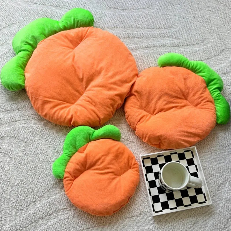 tapis chaleureux polaire forme carotte doux velours côtelé orange vert animaux compagnie lapin hamster