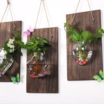 vases murals transparents bois marron plantes vertes deco bohème minimaliste suspension chambre salon