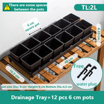 lot pot succulentes plastique blanc moderne trous drainage aération plantes maison