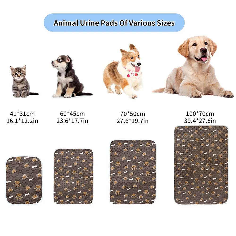 tapis absorbant imperméable chien chat motif pattes coeur lavable antidérapant intérieur moderne bleu