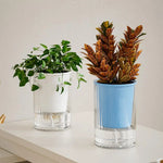 pot plante transparent auto arrosage plante verte absorbant coton conteneur eau moderne minimalisteintérieurextérieur