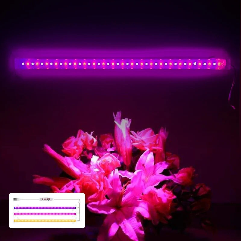 lampe led culture végétale usb alimentée 5v variateur sans fil blanc rose bleu moderne