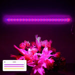 lampe led culture végétale usb alimentée 5v variateur sans fil blanc rose bleu moderne
