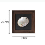 décoration murale coquilles naturelles classiques cadre brillant noir marron salon chambre affichage ornement traditionnel