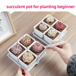 pots succulentes blancs modernes entailles drainage 6cm 7cm cactus pierres