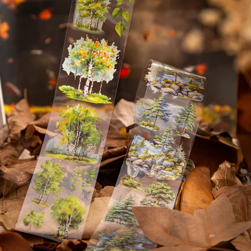 ruban decoratif transparent scènes naturelles aquarelle 60mm 2m boite rangement