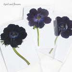 cartes postales fleurs pressées violet rouge classique adhésif intérieur anniversaire baby shower graduation