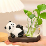 cache pot verre transparent base céramique panda lapin feuilles moderne intérieur blanc noir vert