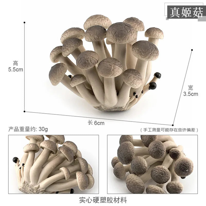 miniatures champignons réalistes photographie accessoires gris rouge blanc marron opaques pastoralesextérieur