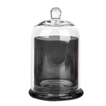 cloches verre moderne argenté violet rose vert transparentes