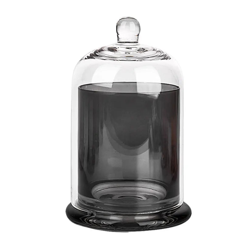 cloches verre moderne argenté violet rose vert transparentes