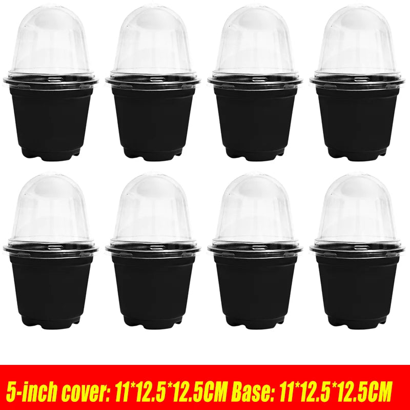 pots semis transparents modernes noir 3.5 inch 12pc jardinage fleurs plantation