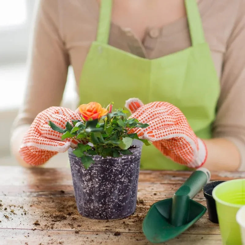 pots transparents modernes fleurs bacs pépinière drainage plastique uni okolets disponibles