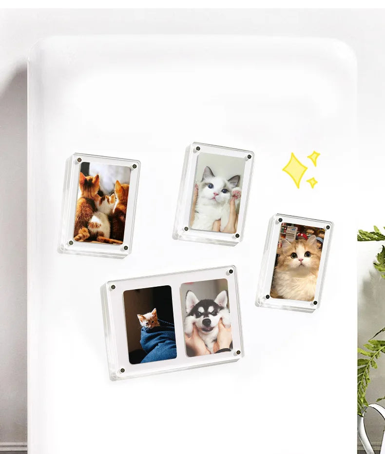 cadre photo magnétique transparent animaux moderne pack instax film instantané