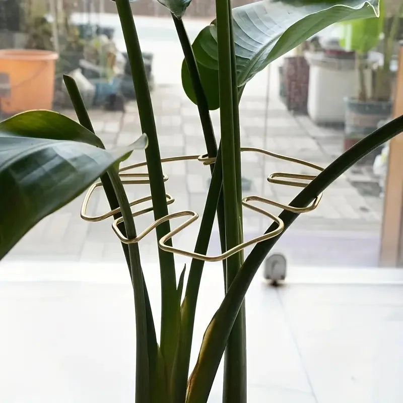 support murale plante acier robuste extérieur intérieur moderne vert doré clips facile