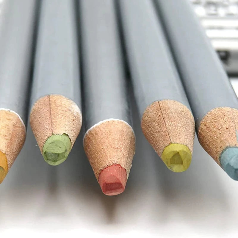crayons couleur classiques pointe colorée gris vert bleu rouge noir marron jaune violet