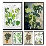 affiches art botaniques illustrations feuilles tropicales moderne intérieur salon chambre verte
