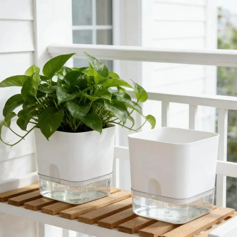 pots fleurs auto arrosants blanc transparent moderne plante geranium daisy pothos chambre jardin suspension