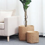 Pot plante tissé marron clair moderne rustique plante verte graines noires serviette blanche