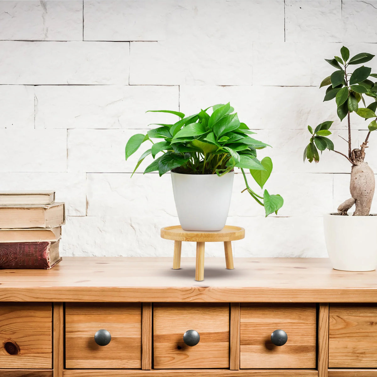 Tabouret étagère en bois avec plantes vertes en intérieur