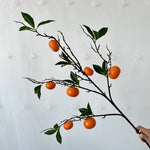 décoration intérieure branches fruits naturels pommes oranges citrons marrons festive maison anniversaire