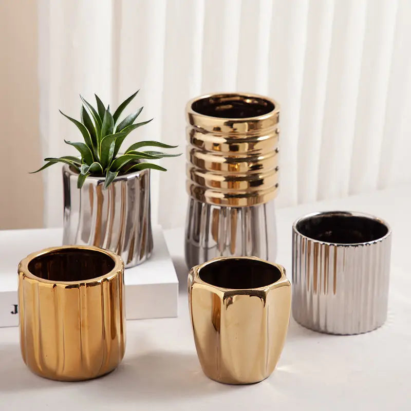 Petit pot céramique blanc pour plantes succulentes