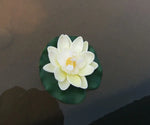 fleur artificielle lotus blanc vert décoration intérieure réaliste feuilles ovales pétales délicats opaques eyelets