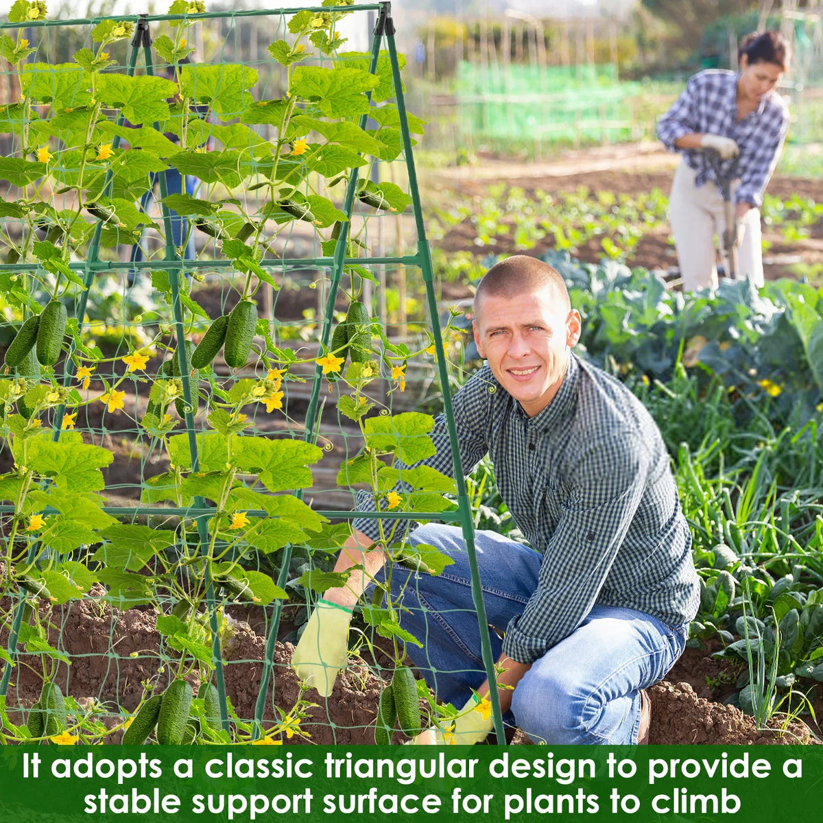 treillis support plantes grimpantes structure triangulaire treillage métallique jardinage rustique tubes connecteurs attaches