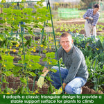 treillis support plantes grimpantes structure triangulaire treillage métallique jardinage rustique tubes connecteurs attaches