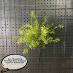 plantes artificielles soie vertes feuilles fines naturelles extérieur accrochées fêtes mariages
