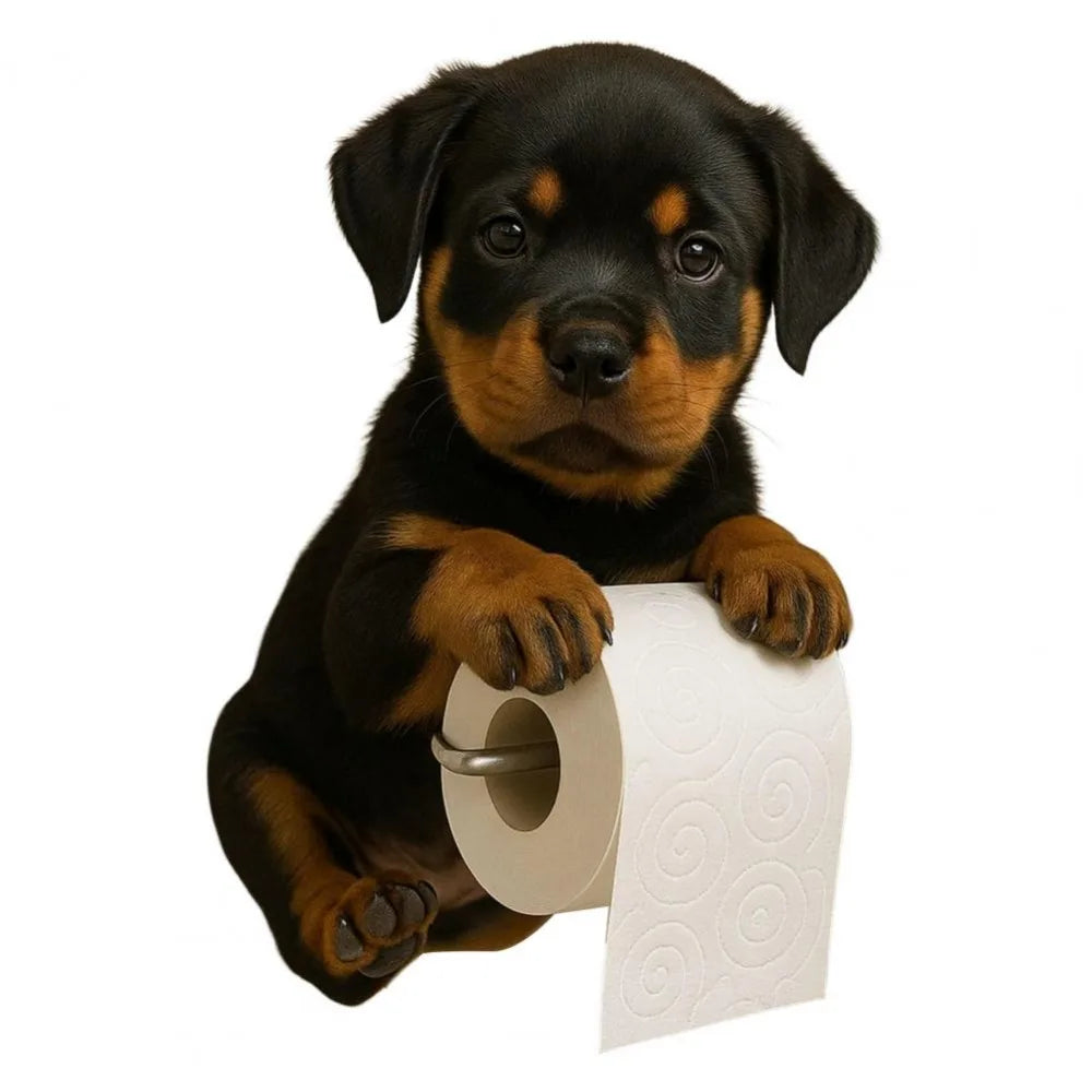 porte rouleau papier toilette moderne blanc spirales opacité facile économise place contemporain