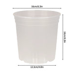 Pot fleurs transparent perforations plantes grandes décoration moderne jardin maison