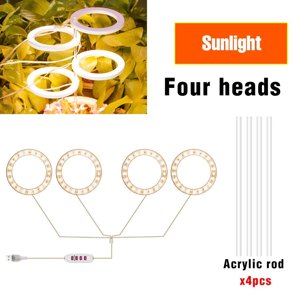 lumière croissance led usb 5v pink red blue sunlight controle remote moderne hydroponique