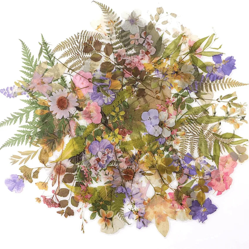autocollants fleurs séchées multicolores feuilles pétales artisanal stickers cartes postales calendrier boîte sac