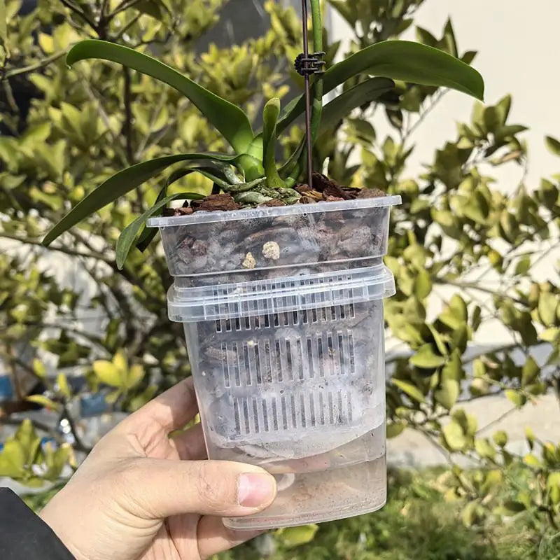 pots plante transparents modernes grille drainage auto absorption d'eau 10cm 12cm 15cm