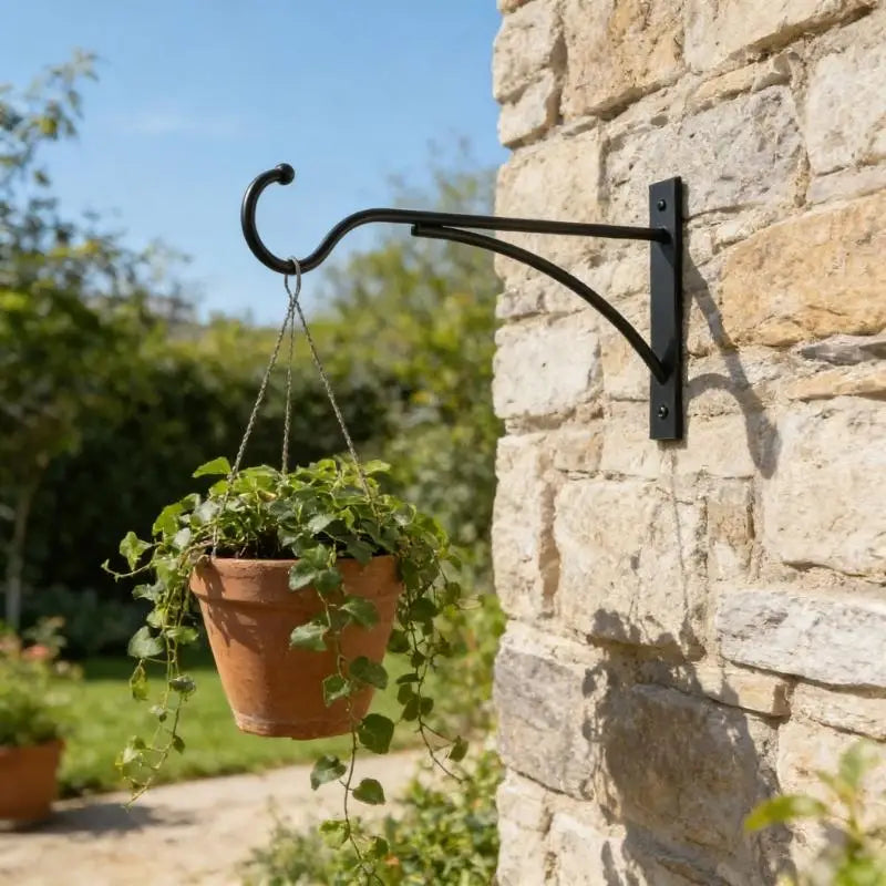 support mural plante suspendue noir métal rustique vis chevilles incluses