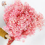 décoration maison bouquet fleurs séchées rose blanches vase naturel rustique