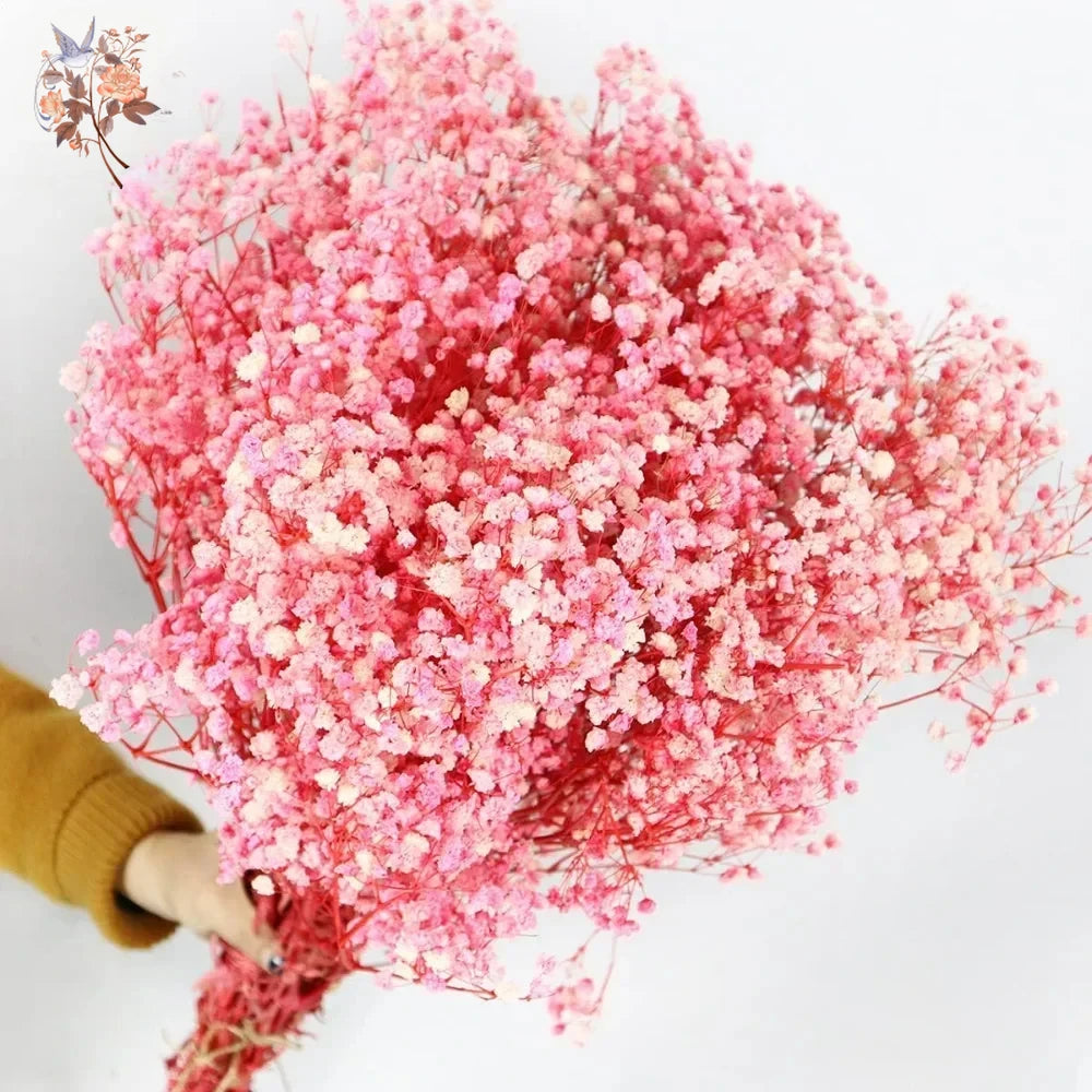 décoration maison bouquet fleurs séchées rose blanches vase naturel rustique