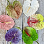 fleurs artificielles anthurium modernes multiple couleurs intérieur décoration mariage événements