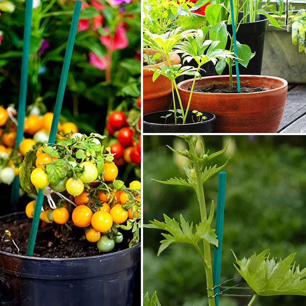 supports plante bambou vert lisse 40cm jardinage utilitaire insertion sol