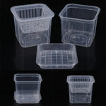 Cache-pot transparent carré 10cm jaune pour orchidée