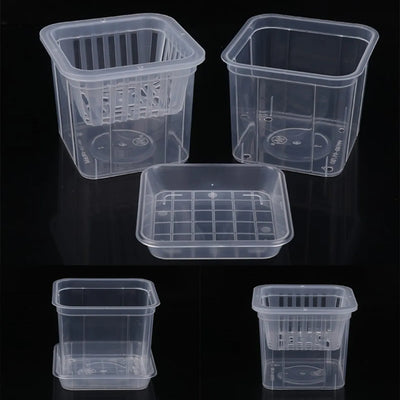 Cache-pot transparent carré 10cm jaune pour orchidée