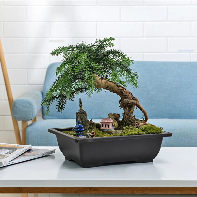 pot fleurs bonsaï miniature décor pagode maison rocher jardin intérieur